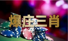 精准内部马料2024 精准内部马料2024